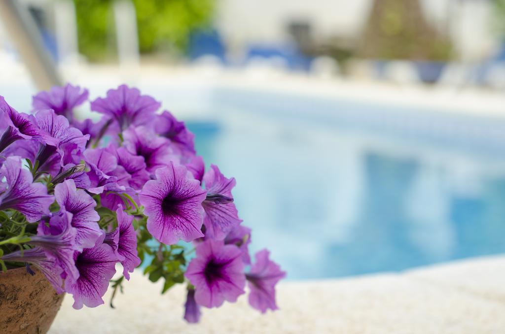 Apartmán La Crisalida Retreats El Albir Exteriér fotografie